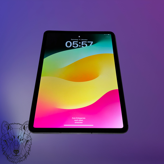 Apple iPad Pro 11“ | 2nd Gen | (2020) | 256GB