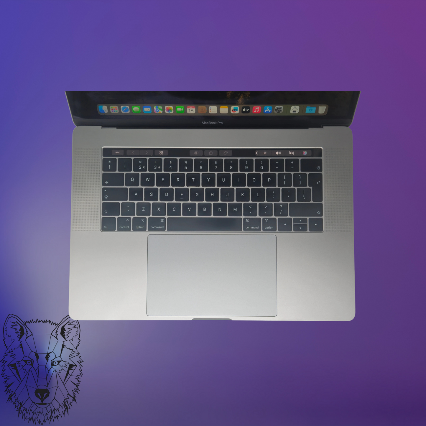 Apple MacBook Pro 2019 | 16" Laptop | 64 RAM | 1000 SSD | i9 Prozessor