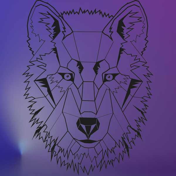 WolfTech Laptops & mehr