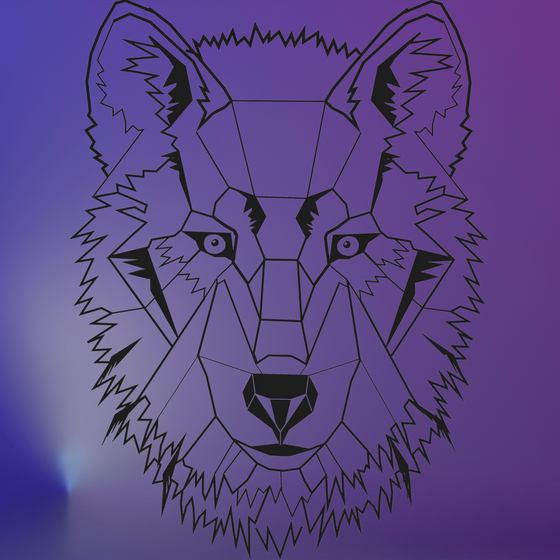WolfTech Laptops